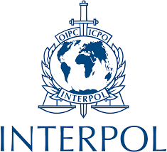 Interpol in Italia